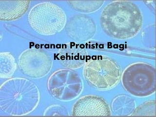 Peranan Protista Bagi
Kehidupan
 