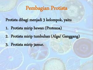 Pembagian Protista
Protista dibagi menjadi 3 kelompok, yaitu
1. Protista mirip hewan (Protozoa)
2. Protista mirip tumbuhan (Alga/ Ganggang)
3. Protista mirip jamur.
 