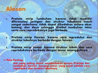 Alasan:
1. Protista mirip Tumbuhan: karena tidak memiliki
diferensiasi jaringan dan struktur tubuhnya masih
sangat sederhana, tidak dapat dibedakan antara akar,
batang, dan daun sehingga disebut tumbuhan talus,
serta cara reproduksinya juga berbeda.
2. Protista mirip Hewan: karena cara reproduksi dan
struktur tubuhnya berbeda dengan hewan.
3. Protista mirip Jamur: karena struktur tubuh dan cara
reproduksinya berbeda dengan jamur sesungguhnya.
 Poin Penting:
Hal yang paling dapat membedakan antara Protista dan
tumbuhan, hewan, maupun jamur yang sejati adalah cara
reproduksi dan struktur tubuhnya.
 