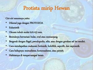 Protista mirip Hewan
Ciri-ciri umumnya yaitu:
• Dikenal juga dengan PROTOZOA
• Eukariotik
• Ukuran tubuh mulai 0,01-0,5 mm.
• Bentuknya bervariasi: bulat, oval atau memanjang.
• Bergerak dengan flagel, pseudopodia, silia, atau dengan gerakan sel itu sendiri.
• Cara mendapatkan makanan: holozoik, holofitik, saprofit, dan saprozoik.
• Cara hidupnya: mutualisme, komensalisme, atau parasit.
• Habitatnya di tempat-tempat berair.
 