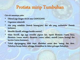 Protista mirip Tumbuhan
Ciri-ciri umumnya yaitu:
• Dikenal juga dengan ALGA atau GANGGANG
• Organisme eukariotik
• Ada yang uniseluler (bentuk benang/pita) dan ada yang multiseluler (bentuk
lembaran).
• Memiliki klorofil, sehingga bersifat autotrof.
• Selain klorofil, alga juga memiliki pigmen lain, seperti fikosianin (warna biru),
fikoeritrin (warna merah), fikosantin (warna coklat), xantofil (warna kuning) dan
karoten (warna keemasan).
• Tubuh alga/ganggang tidak dapat dibedakan antara akar, batang, dan daun.
Tubuhnya berupa thalus, sehingga dimasukkan ke dalam golongan thalophyta.
 
