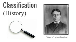 Classification
(History)
Picture of Herbert Copeland
 