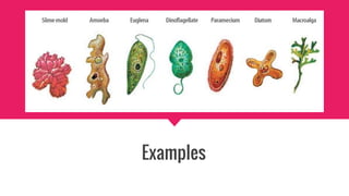Examples
 