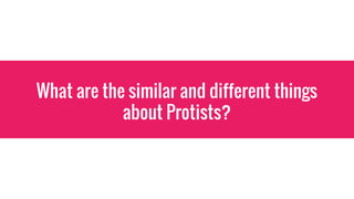 What are the similar and different things
about Protists?
 