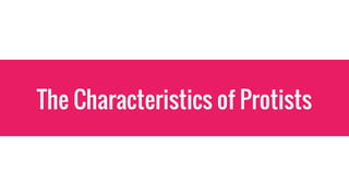 The Characteristics of Protists
 