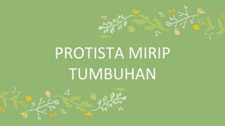 PROTISTA MIRIP
TUMBUHAN
 
