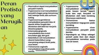 Peran
Protista
yang
Merugik
an
Trypanosoma evansi
menyebabkan penyakit surra
pada hewan ternak, seperti
kuda dan sapi. Penyakit ini
ditularkan oleh lalat kandang
(Stomoxys calcitrans).
Trichomonas foetus
menyebabkan keguguran pada
kambing.
Trypanosoma vivax
menyebabkan penyakit pada
domba.
Saprolegnia sp. hidup sebagai
parasit pada ikan dan dapat
menyebabkan kematian pada
ikan air tawar.
Plasmodium dapat menyebabkan
penyakit malaria.
Trypanosoma cruzi menyebabkan
penyakit chagas yang menyerang
hati, kelenjar limfa, dan sumsum
tulang.
Trypanosoma gambiense
menyebabkan penyakit tidur di
daerah Afrika Tengah dan
ditularkan oleh lalat tse-tse jenis
Glossina palpalis.
Entamoeba gingivalis
menyebabkan bau mulut,
kerusakan gigi, dan gusi.
Balantidium coli menyebabkan
disentri balantidium yang
menyerang selaput lendir pada
usus besar.
Trichomonas vaginalis
menyebabkan keputihan pada
wanita.
 