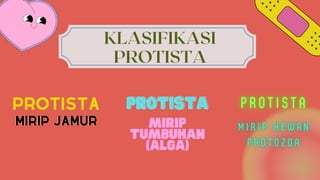 KLASIFIKASI
PROTISTA
PROTISTA
PROTISTA
MIRIP JAMUR
MIRIP JAMUR MIRIP
MIRIP
TUMBUHAN
TUMBUHAN
(ALGA)
(ALGA)
PROTISTA
PROTISTA
 