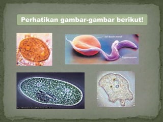 Perhatikan gambar-gambar berikut!
 