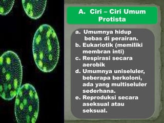 A. Ciri – Ciri Umum
Protista
a. Umumnya hidup
bebas di perairan.
b. Eukariotik (memiliki
membran inti)
c. Respirasi secara
aerobik
d. Umumnya uniseluler,
beberapa berkoloni,
ada yang multiseluler
sederhana.
e. Reproduksi secara
aseksual atau
seksual.
 