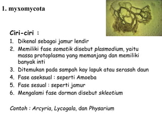 1. myxomycota
Ciri-ciri :
1. Dikenal sebagai jamur lendir
2. Memiliki fase somatik disebut plasmodium, yaitu
massa protoplasma yang memanjang dan memiliki
banyak inti
3. Ditemukan pada sampah kay lapuk atau serasah daun
4. Fase aseksual : seperti Amoeba
5. Fase sesual : seperti jamur
6. Mengalami fase dorman disebut skleotium
Contoh : Arcyria, Lycogala, dan Physarium
 