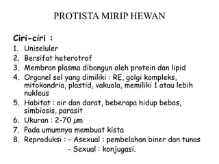 PROTISTA MIRIP HEWAN
Ciri-ciri :
1. Uniseluler
2. Bersifat heterotrof
3. Membran plasma dibangun oleh protein dan lipid
4. Organel sel yang dimiliki : RE, golgi kompleks,
mitokondria, plastid, vakuola, memiliki 1 atau lebih
nukleus
5. Habitat : air dan darat, beberapa hidup bebas,
simbiosis, parasit
6. Ukuran : 2-70 µm
7. Pada umumnya membuat kista
8. Reproduksi : - Asexual : pembelahan biner dan tunas
- Sexual : konjugasi.
 