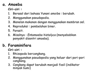 a. Amoeba
Ciri-ciri :
1. Berasal dari bahasa Yunani amoibe : berubah.
2. Menggunakan pseudopodia.
3. Menelan makanan dengan menggunakan membran sel.
4. Reproduksi : pembelahan biner.
5. Parasit.
6. Misalnya : Entamoeba histolyca (menyebabkan
penyakit disentri amoeba).
b. Foraminifera
Ciri-ciri :
1. Rhizopoda bercangkang.
2. Menggunakan pseudopodia yang keluar dari pori-pori
cangkang.
3. Cangkang dapat berubah menjadi fosil (indikator
minyak bumi)
 
