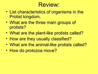 Review:
• List characteristics of organisms in the
Protist kingdom.
• What are the three main groups of
protists?
• What are the plant-like protists called?
• How are they usually classified?
• What are the animal-like protists called?
• How do protozoa move?