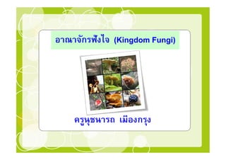 อาณาจักรฟังไจ (Kingdom Fungi)




    ครูนุชนารถ เมืองกรุง
 