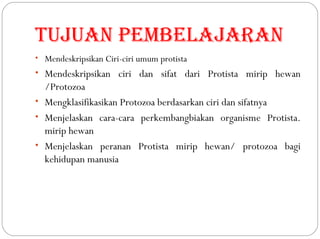 Tujuan pembelajaran
• Mendeskripsikan Ciri-ciri umum protista
• Mendeskripsikan ciri dan sifat dari Protista mirip hewan
/Protozoa
• Mengklasifikasikan Protozoa berdasarkan ciri dan sifatnya
• Menjelaskan cara-cara perkembangbiakan organisme Protista.
mirip hewan
• Menjelaskan peranan Protista mirip hewan/ protozoa bagi
kehidupan manusia
 