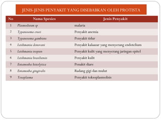 No Nama Spesies Jenis Penyakit
1 Plasmodieum sp malaria
2 Typanosoma cruzi Penyakit anemia
3 Typanosoma gambiens Penyakit tidur
4 Leishmania donovani Penyakit kalaazar yang menyerang endotelium
5 Leishmania tropien Penyakit kulit yang menyerang jaringan epitel
6 Leishmania brasiliensis Penyakit kulit
7 Entamoeba histolytica Penakit diare
8 Entamoeba gingivalis Radang gigi dan mulut
9 Toxoplasma Penyakit toksoplasmolisis
JENIS-JENIS PENYAKIT YANG DISEBABKAN OLEH PROTISTA
 