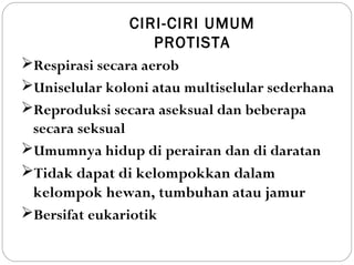 Respirasi secara aerob
Uniselular koloni atau multiselular sederhana
Reproduksi secara aseksual dan beberapa
secara seksual
Umumnya hidup di perairan dan di daratan
Tidak dapat di kelompokkan dalam
kelompok hewan, tumbuhan atau jamur
Bersifat eukariotik
CIRI-CIRI UMUM
PROTISTA
 