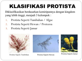 1. Protista Seperti Tumbuhan / Algae
2. Protista Seperti Hewan / Protozoa
3. Protista Seperti Jamur
Diklasifikasikan berdasarkan kemiripannya dengan kingdom
yang lebih tinggi, menjadi 3 kelompok :
Protista Seperti Hewan
Protista Seperti Jamur
KLASIFIKASI PROTISTA
 