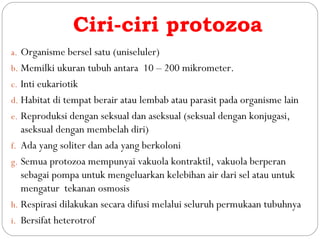 Ciri-ciri protozoa
a. Organisme bersel satu (uniseluler)
b. Memilki ukuran tubuh antara 10 – 200 mikrometer.
c. Inti eukariotik
d. Habitat di tempat berair atau lembab atau parasit pada organisme lain
e. Reproduksi dengan seksual dan aseksual (seksual dengan konjugasi,
aseksual dengan membelah diri)
f. Ada yang soliter dan ada yang berkoloni
g. Semua protozoa mempunyai vakuola kontraktil, vakuola berperan
sebagai pompa untuk mengeluarkan kelebihan air dari sel atau untuk
mengatur tekanan osmosis
h. Respirasi dilakukan secara difusi melalui seluruh permukaan tubuhnya
i. Bersifat heterotrof
 