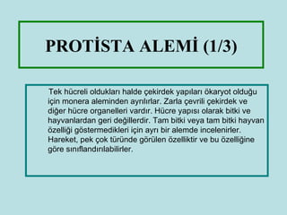 PROTİSTA ALEMİ (1/3)

Tek hücreli oldukları halde çekirdek yapıları ökaryot olduğu
için monera aleminden ayrılırlar. Zarla çevrili çekirdek ve
diğer hücre organelleri vardır. Hücre yapısı olarak bitki ve
hayvanlardan geri değillerdir. Tam bitki veya tam bitki hayvan
özelliği göstermedikleri için ayrı bir alemde incelenirler.
Hareket, pek çok türünde görülen özelliktir ve bu özelliğine
göre sınıflandırılabilirler.
 
