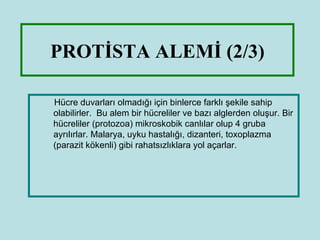 PROTİSTA ALEMİ (2/3)

Hücre duvarları olmadığı için binlerce farklı şekile sahip
olabilirler. Bu alem bir hücreliler ve bazı alglerden oluşur. Bir
hücreliler (protozoa) mikroskobik canlılar olup 4 gruba
ayrılırlar. Malarya, uyku hastalığı, dizanteri, toxoplazma
(parazit kökenli) gibi rahatsızlıklara yol açarlar.
 