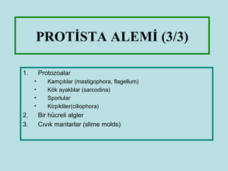 PROTİSTA ALEMİ (3/3)

1.       Protozoalar
     •      Kamçılılar (mastigophora, flagellum)
     •      Kök ayaklılar (sarcodina)
     •      Sporlular
     •      Kirpikliler(ciliophora)
2.       Bir hücreli algler
3.       Cıvık mantarlar (slime molds)
 