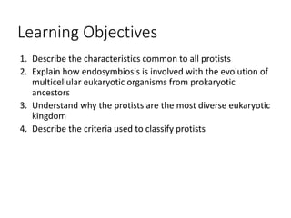 Learning Objectives
1. Describe the characteristics common to all protists
2. Explain how endosymbiosis is involved with the evolution of
multicellular eukaryotic organisms from prokaryotic
ancestors
3. Understand why the protists are the most diverse eukaryotic
kingdom
4. Describe the criteria used to classify protists
 