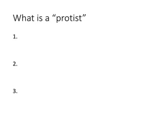What is a “protist”
1.
2.
3.
 