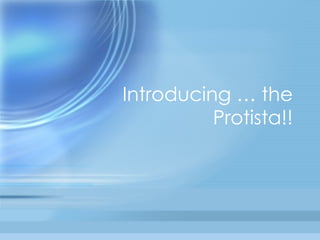 Introducing … the Protista!! 