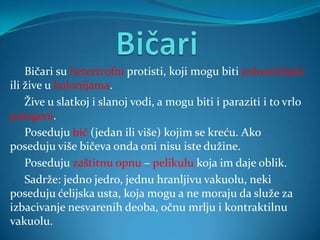 Bičari su hetertrofni protisti, koji mogu biti jednoćelijski
ili žive u kolonijama.
    Žive u slatkoj i slanoj vodi, a mogu biti i paraziti i to vrlo
patogeni.
    Poseduju bič (jedan ili više) kojim se kreću. Ako
poseduju više bičeva onda oni nisu iste dužine.
    Poseduju zaštitnu opnu – pelikulu koja im daje oblik.
    Sadrže: jedno jedro, jednu hranljivu vakuolu, neki
poseduju ćelijska usta, koja mogu a ne moraju da služe za
izbacivanje nesvarenih deoba, očnu mrlju i kontraktilnu
vakuolu.
 