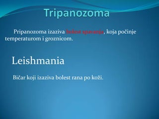 Pripanozoma izaziva bolest spavanja, koja počinje
temperaturom i groznicom.



  Leishmania
   Bičar koji izaziva bolest rana po koži.
 