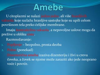 U citoplazmi se nalazi jedno jedro, ali više hranljivih
vakuola koje razlažu hranljive sastojke koje su upili celom
površinom tela preko ćelijske membrane.
   Imaju kontraktilnu vakuolu, a nepovoljne uslove mogu da
prežive u obliku ciste.
   Razmnožavanje:
1. Pupljenje – bezpolno, prosta deoba
2. Polno (ponekad)
    Dizenterična ameba izaziva dizenteriju i živi u crevu
    čoveka, a čovek se njome može zaraziti ako jede neoprano
    voće i povrće.
 