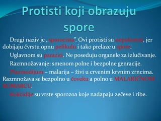 Drugi naziv je ‚‚sporocista”. Ovi protisti su nepokretni, jer
dobijaju čvrstu opnu pelikulu i tako prelaze u spore.
  Uglavnom su paraziti. Ne poseduju organele za izlučivanje.
  Razmnožavanje: smenom polne i bezpolne genracije.
  Plazmodijum – malarija – živi u crvenim krvnim zrncima.
Razmnožava se bezpolno u čoveku a polno u MALARIČNOM
KOMARCU.
  Kokcidije su vrste sporozoa koje nadapaju zečeve i ribe.
 