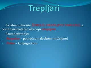 Za ishranu koriste ŽDRELO, HRANLJIVU VAKUOLU, a
nesvarene materije izbacuju citopigom.
   Razmnožavanje:
1. Bezpolno – poprečnom deobom (multipno)
2. Polno – konjugacijom
 