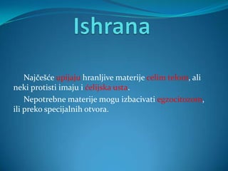 Najčešće upijaju hranljive materije celim telom, ali
neki protisti imaju i ćelijska usta.
    Nepotrebne materije mogu izbacivati egzocitozom,
ili preko specijalnih otvora.
 