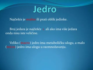 Najčešće je ovalno ili prati oblik jedinke.

  Broj jedara je najčešće 1 ali ako ima više jedara
onda nisu iste veličine.

  Veliko (macro) jedro ima metaboličku ulogu, a malo
(micro) jedro ima ulogu u razmnožavanju.
 