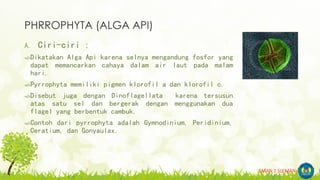 Protista mirip | PDF