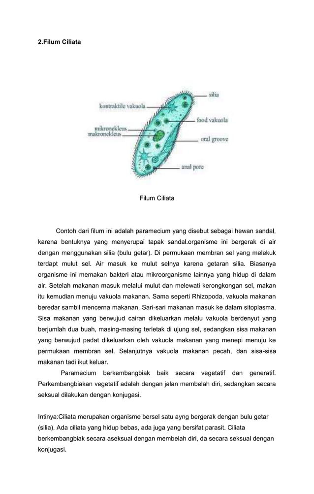 Protista mirip hewan, jamur dan tumbuhan PDF