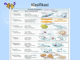 Klasifikasi

 