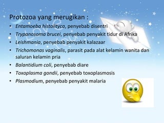 Protozoa yang merugikan :
Entamoeba histolityca, penyebab disentri
Trypanosoma brucei, penyebab penyakit tidur di Afrika
Leishmania, penyebab penyakit kalazaar
Trichomonas vaginalis, parasit pada alat kelamin wanita dan
saluran kelamin pria
• Balantidium coli, penyebab diare
• Toxoplasma gondii, penyebab toxoplasmosis
• Plasmodium, penyebab penyakit malaria
•
•
•
•

 