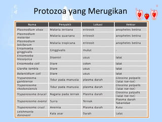 Protozoa yang Merugikan

 