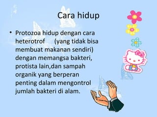 Cara hidup
• Protozoa hidup dengan cara
heterotrof (yang tidak bisa
membuat makanan sendiri)
dengan memangsa bakteri,
protista lain,dan sampah
organik yang berperan
penting dalam mengontrol
jumlah bakteri di alam.

 