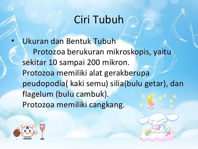 Protista Mirip Hewan (Protozoa) X-1