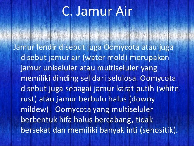 Protista mirip jamur (by Josafat Anhar dan team)