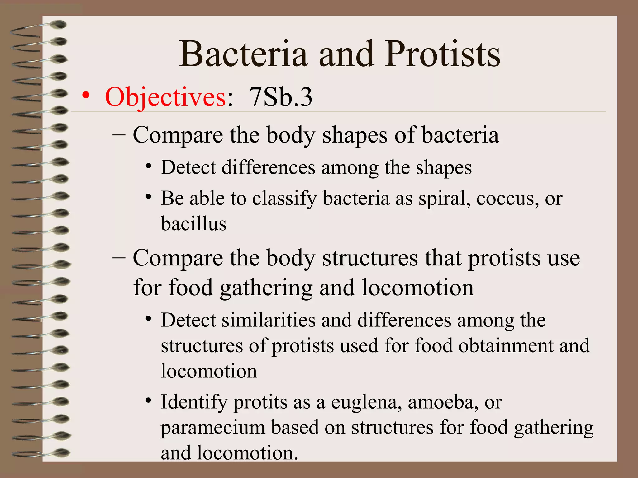Protist and bacteria presentation | PPT