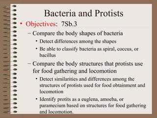 Bacteria and Protists
• Objectives: 7Sb.3
  – Compare the body shapes of bacteria
     • Detect differences among the shapes
     • Be able to classify bacteria as spiral, coccus, or
       bacillus
  – Compare the body structures that protists use
    for food gathering and locomotion
     • Detect similarities and differences among the
       structures of protists used for food obtainment and
       locomotion
     • Identify protits as a euglena, amoeba, or
       paramecium based on structures for food gathering
       and locomotion.
 