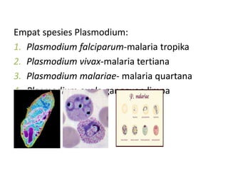 Empat spesies Plasmodium:
1. Plasmodium falciparum-malaria tropika
2. Plasmodium vivax-malaria tertiana
3. Plasmodium malariae- malaria quartana
4. Plasmodium ovale-gangguan limpa
 