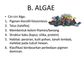 B. ALGAE
• Ciri-ciri Alga:
1. Pigmen klorofil-fotosintesis
2. Talus (talofita)
3. Membentuk koloni-filamen/benang
4. Struktur kaku (kapur, silika, protein)
5. Habitat: perairan, kulit pohon, tanah lembab,
melekat pada tubuh hewan.
6. Klasifikasi berdasarkan perbedaan pigmen
dominan.
 