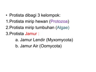 • Protista dibagi 3 kelompok:
1.Protista mirip hewan (Protozoa)
2.Protista mirip tumbuhan (Algae)
3.Protista Jamur :
a. Jamur Lendir (Myxomycota)
b. Jamur Air (Oomycota)
 